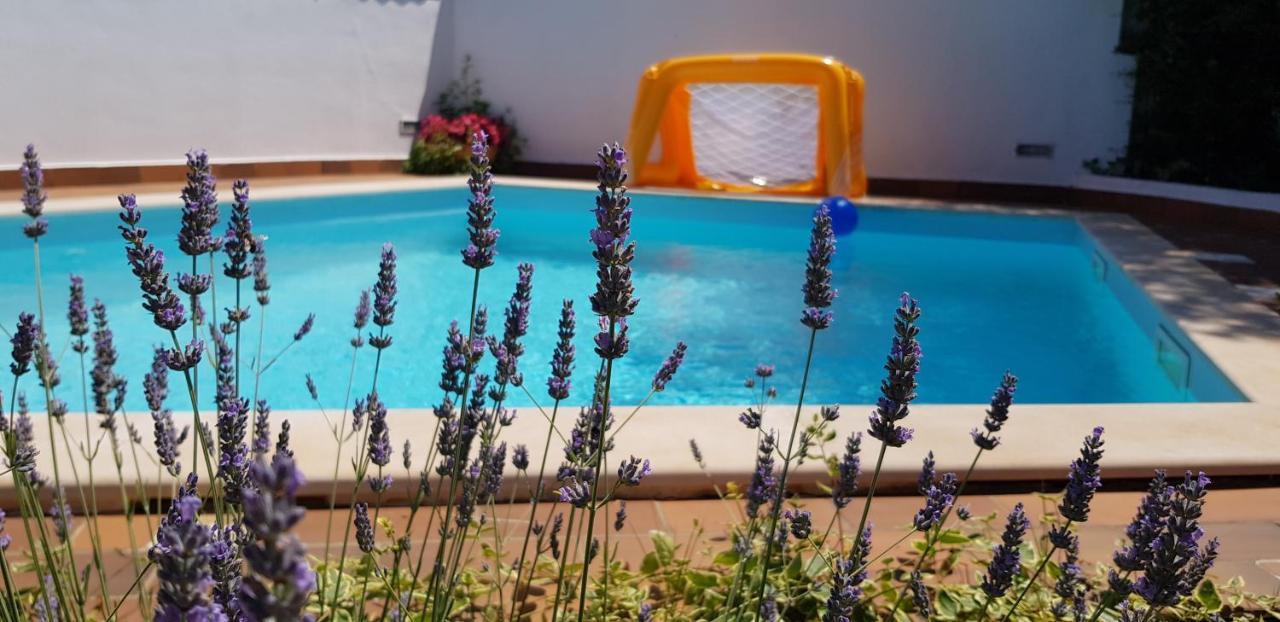 Guest House Bizjak Vinkuran Exterior photo