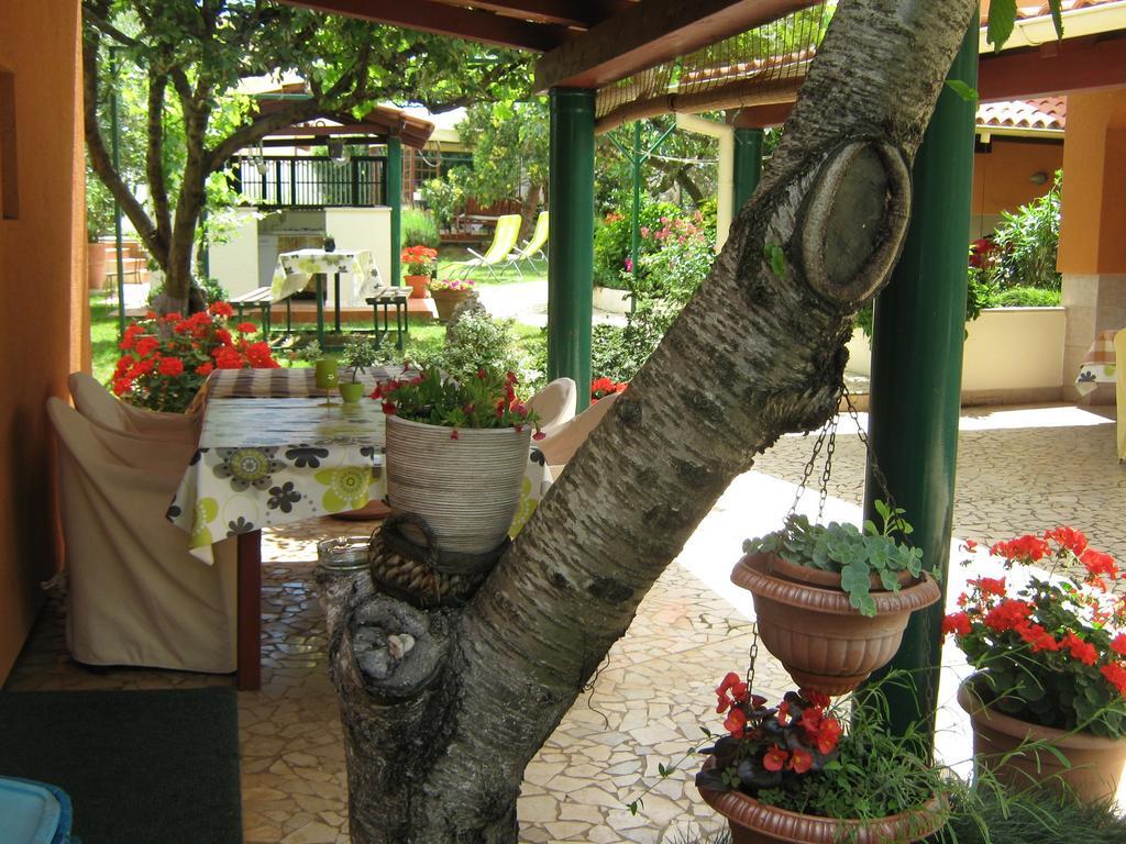 Guest House Bizjak Vinkuran Exterior photo