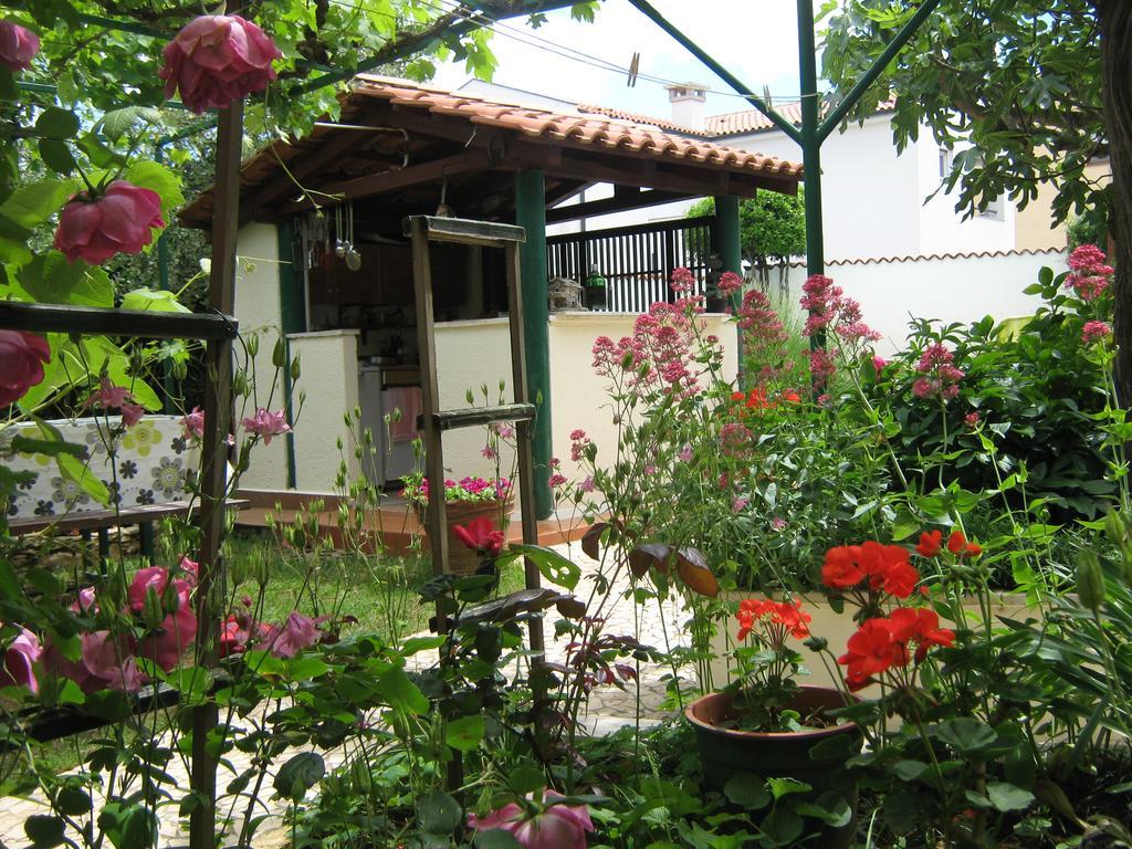 Guest House Bizjak Vinkuran Exterior photo